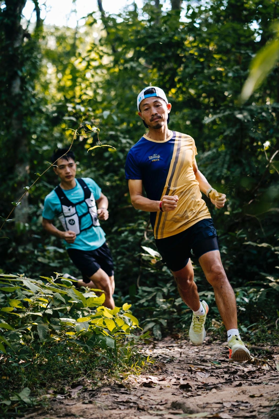 The concept of cardiovascular training