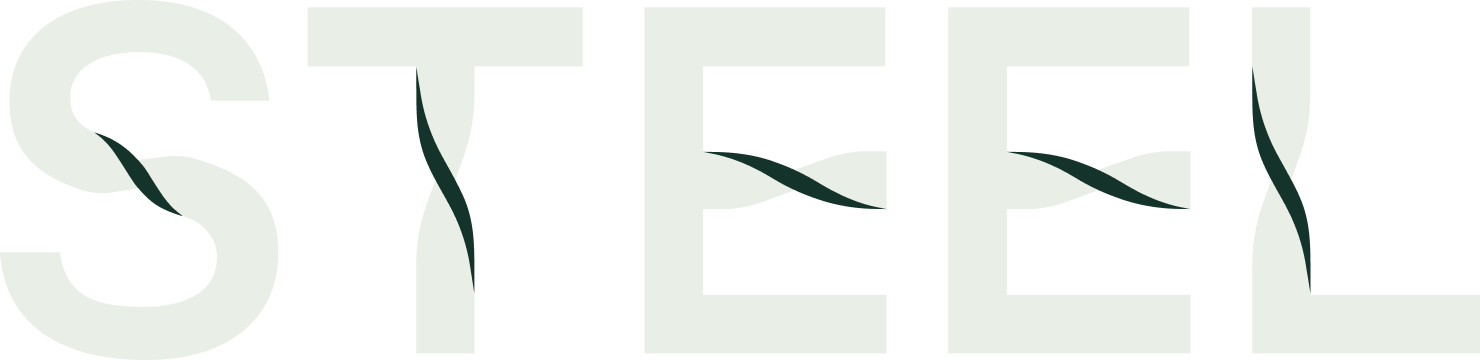 Logo STEEL Fitness & Health